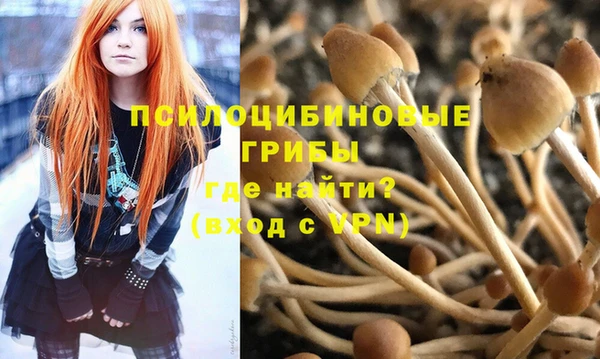 стафф Карталы